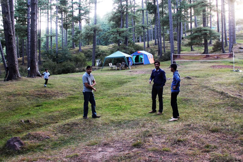 Visitors on the grassy meadow at Murree Camping with tents and a badminton net among the pines