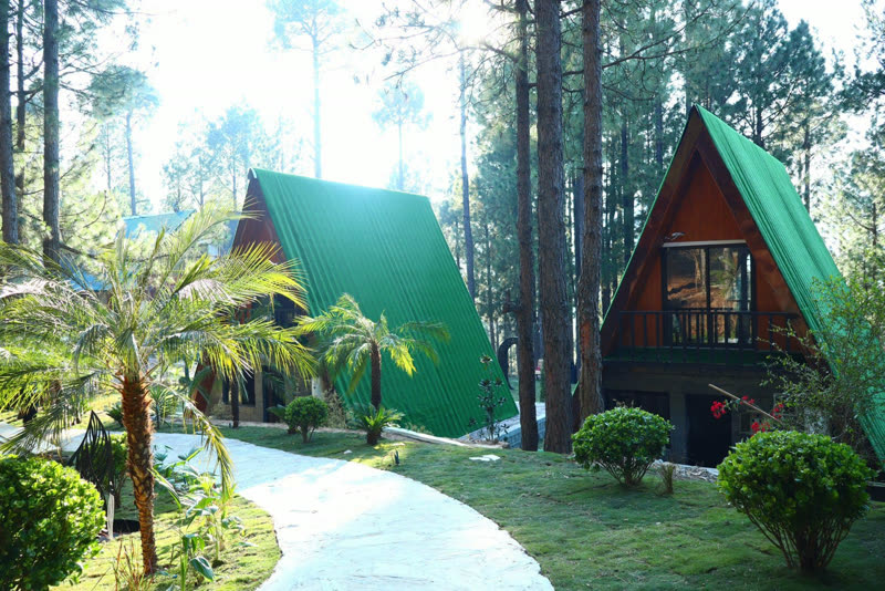 Green-roofed A-frame cabins among pine trees beside a curving garden path