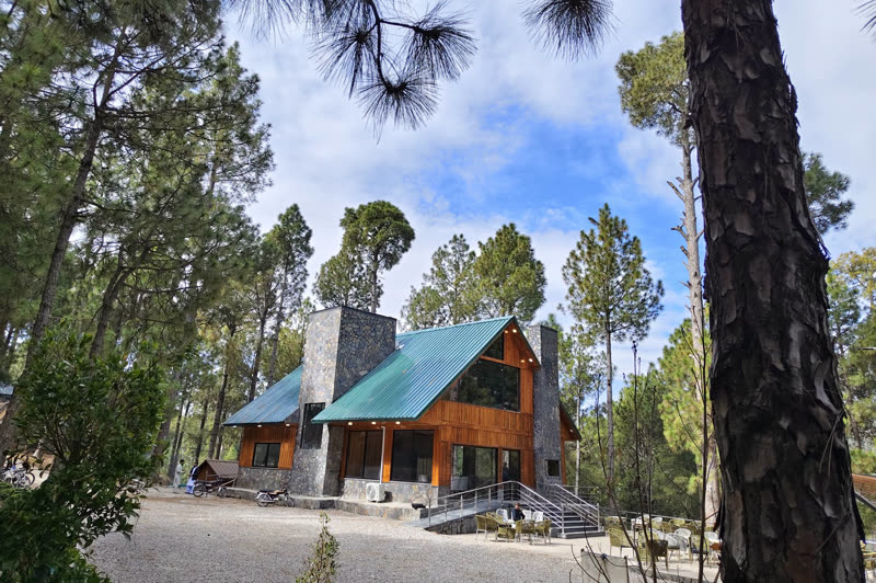 Timber lodge with a stone chimney and green roof among pines at Chewra