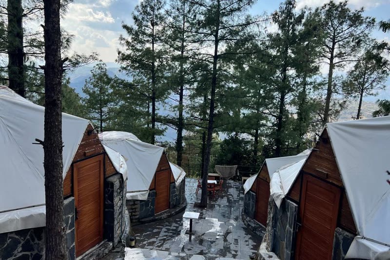 A row of white canvas glamps with wooden doors among pine trees at High Glamp, Bansra Gali