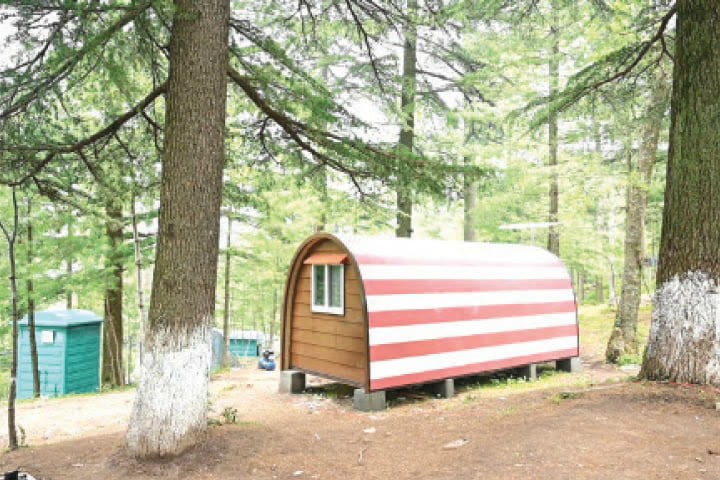A wooden glamping pod with a striped roof on the forest floor at Patriata