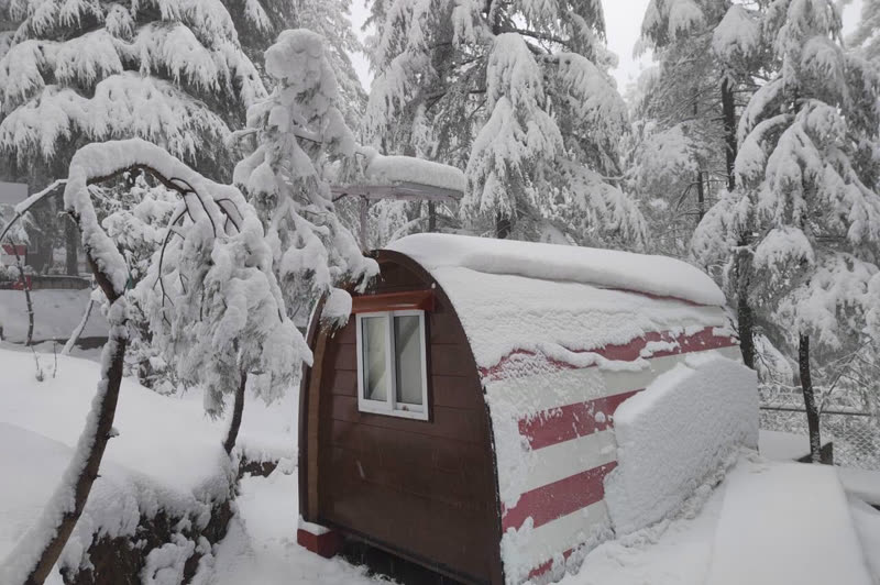 A glamping pod covered in snow among snow-laden pines
