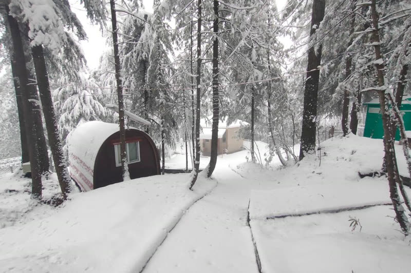 Snowy path through the pine forest past a glamping pod at Patriata
